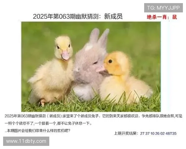 2025年澳门新彩开奖结果及开奖记录下载指南